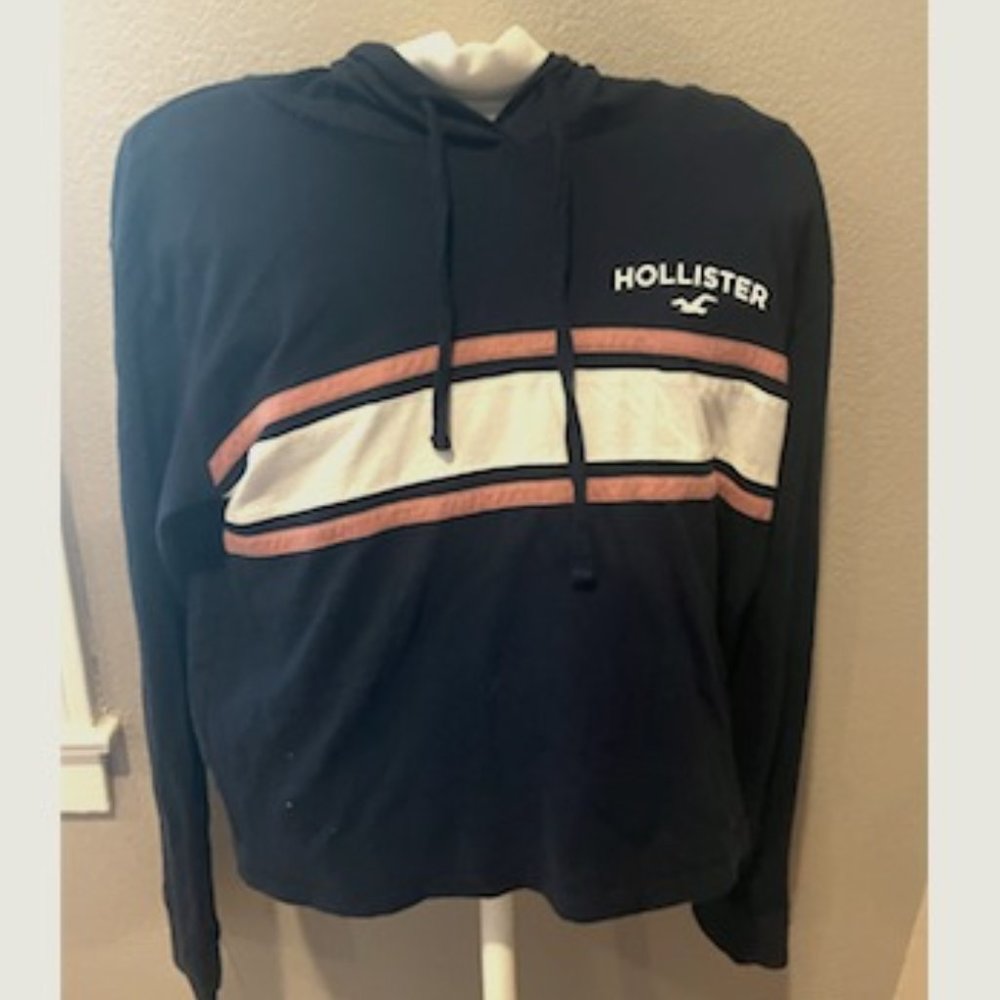 Hollister Hoodie Sweater